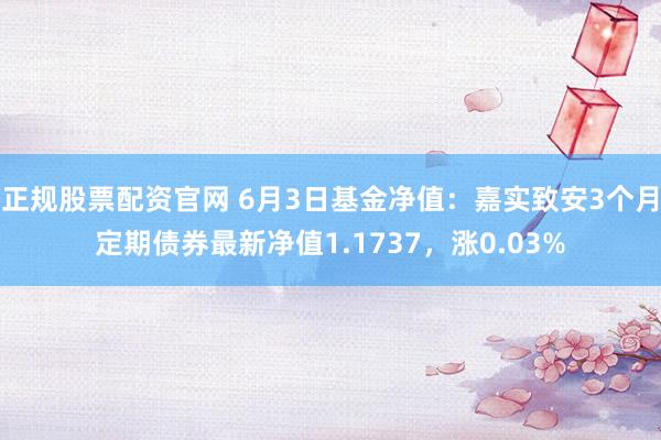 正规股票配资官网 6月3日基金净值：嘉实致安3个月定期债券最新净值1.1737，涨0.03%