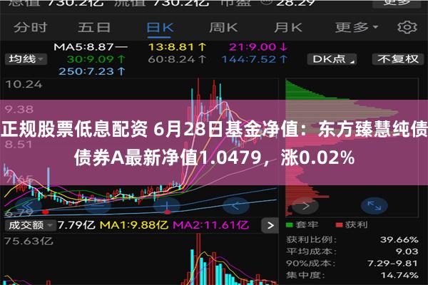 正规股票低息配资 6月28日基金净值：东方臻慧纯债债券A最新净值1.0479，涨0.02%