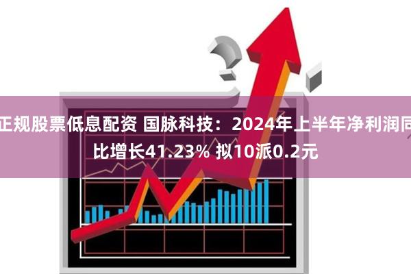 正规股票低息配资 国脉科技：2024年上半年净利润同比增长41.23% 拟10派0.2元